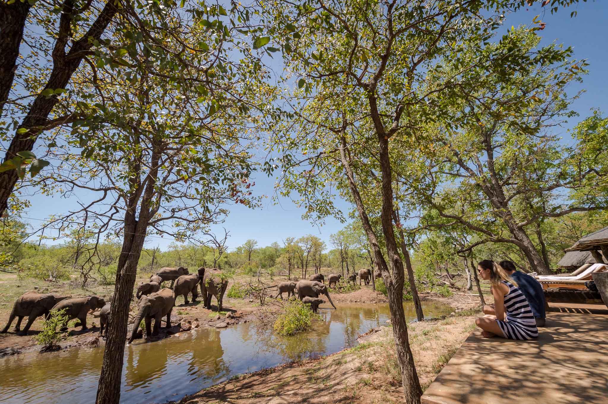 Chacma Bush Camp thumbnail 3